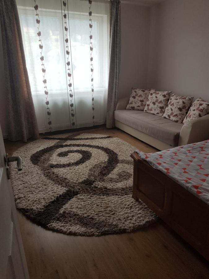Apartmán Garsoniera Emilia Câmpulung Moldovenesc Exteriér fotografie