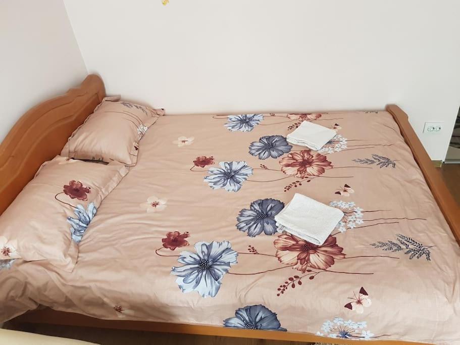 Apartmán Garsoniera Emilia Câmpulung Moldovenesc Exteriér fotografie