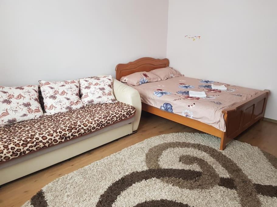 Apartmán Garsoniera Emilia Câmpulung Moldovenesc Exteriér fotografie