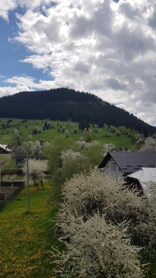 Apartmán Garsoniera Emilia Câmpulung Moldovenesc Exteriér fotografie
